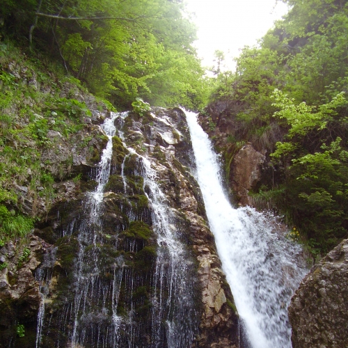 Cascada Urlatoarea poza